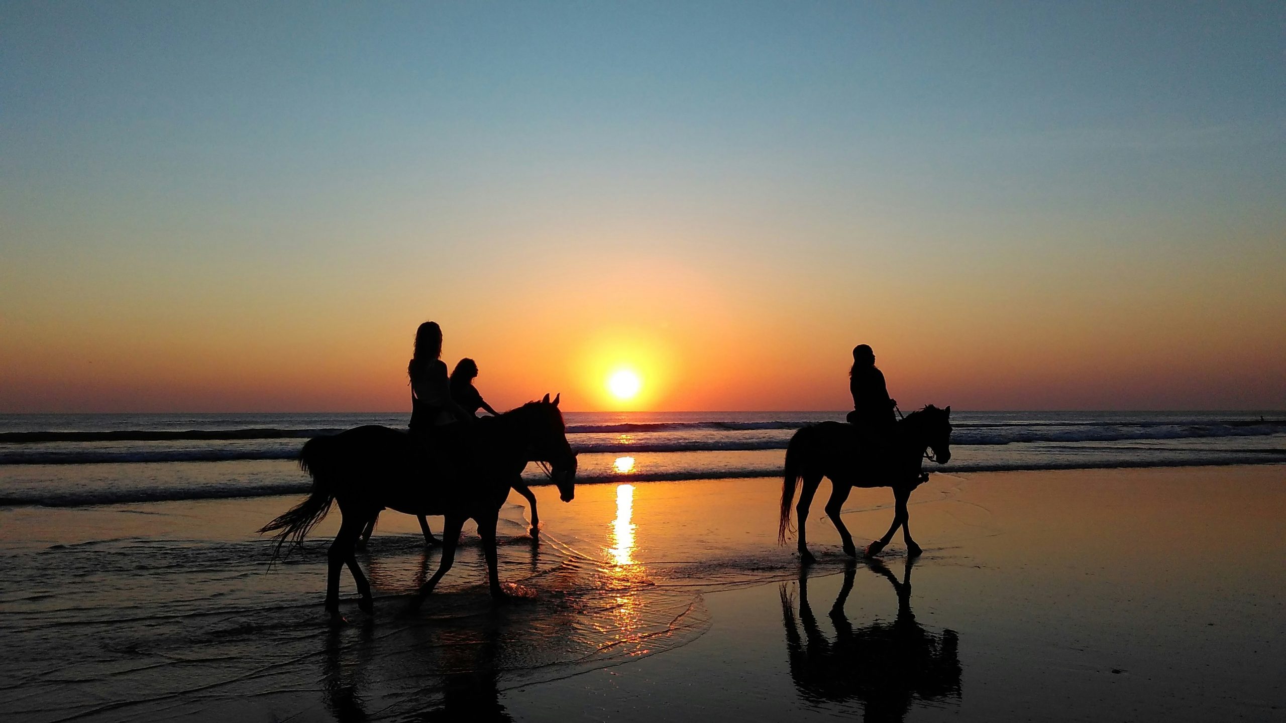 Are there downsides to exercising horses on sand?